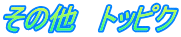 その他　トッピク